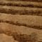 Minwax® Wood Finish Stain Marker